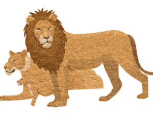 In de huid van de leeuw, speelse oefeningen en interacties