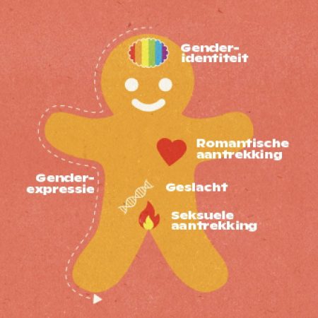 Toegankelijke workshop rond gender, seksuele identiteit en relaties Spelenderwijzer vzw